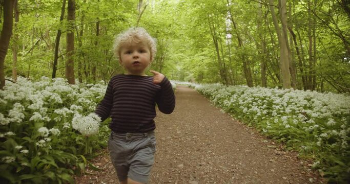 Super Cute Toddler with Chubby Cheeks Walking Along the Path in Forest Woods
