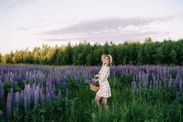 blonde girl in a dress with a basket in a field of lupins