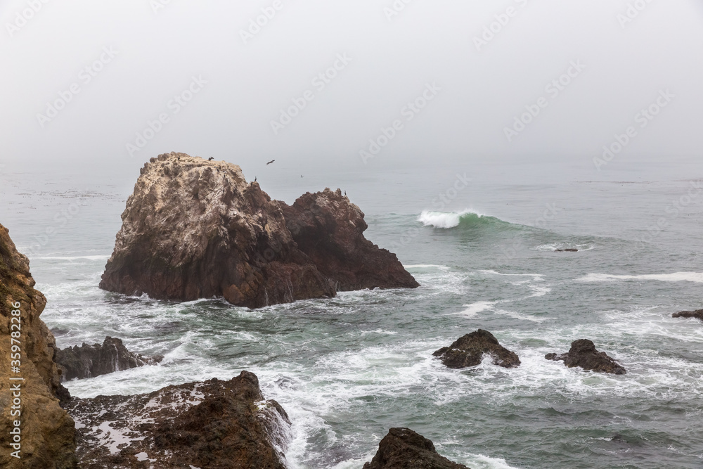 Wall mural waves crashing on rocks in foggy Big Sur