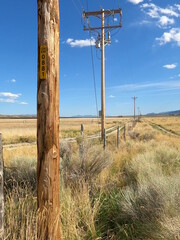 Wood Electric Poles along a Fence Line