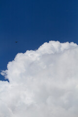 Samolot i biała chmura na tle nieba