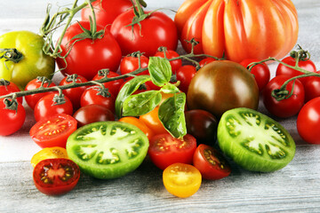various colorful tomatoes and basil leaves on rustic table.