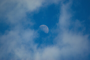 Mond