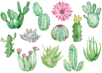 Collection of Cactuses isolated on the white background. Watercolor hand drawn set illustration.