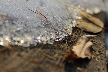 early spring, leaves lying on the Board next to the melted ice