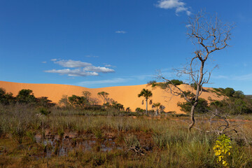 Dunes in Jalapão State Park near Mateiros City.