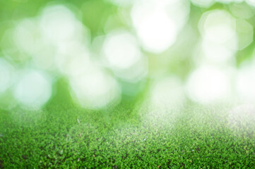 Closeup on moss bokeh background in forest  used to make cards for the new year festival on valentines day, birthday, poster, christmas