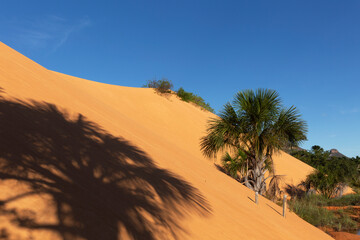 Fototapeta na wymiar Dunes in Jalapão State Park near Mateiros City.