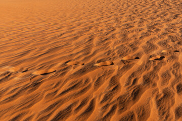 Dunes in Jalapão State Park near Mateiros City.