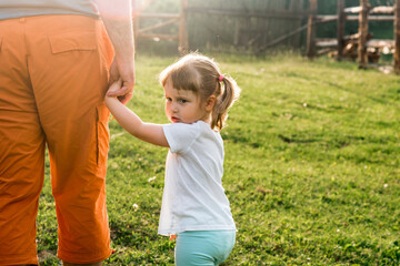 a parent holds the hand of a small child.baby girl goes hand in hand with dad in the village at sunset. sunny evening