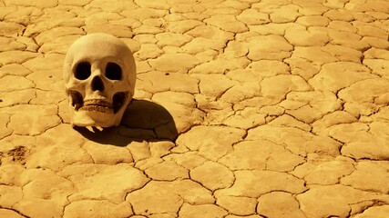 A human skull bakes in a desert dry lake bed.  No people.  4K slider shot.