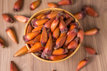 Pinion, traditional Brazilian food, seed of the auraucaria