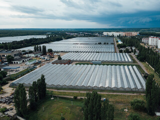 Aerial drone view of modern greenhouse complex