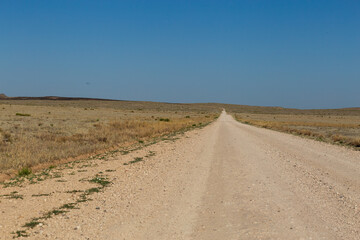 Lonely dirt road on a harsh flat prairie landscape