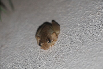 quiet man, they will find me!
