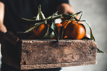 A box of tangerine in male hands on a gray background. Farmer, eco fruits, food. PNOV2019