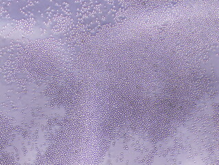 Macrophages, which are important cells of the immune system that are formed in response to an infection or accumulating damaged or dead cells, were captured by Light Microscope (40x)