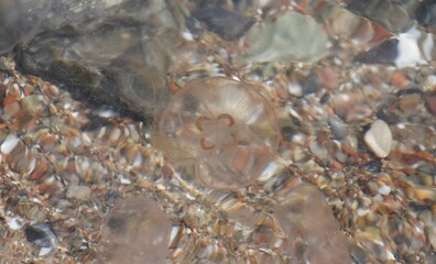 QUallen unter Wasser