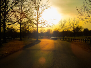 Road In A New Jersey Park At Sunset