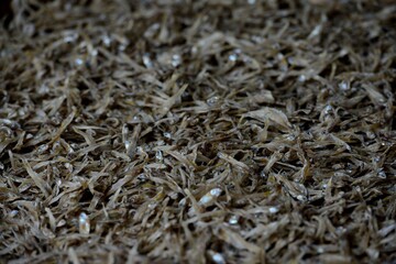 Close up of Dried Fish in Thailand