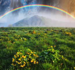 Rainbow over the meadow. picturesque spring morning