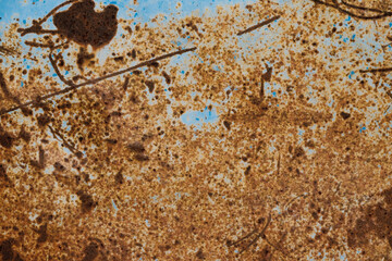 Rust texture on metal for abstract background.