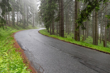 Asphalt road leading through the mountains in the forest. Route for cars in southern Poland.