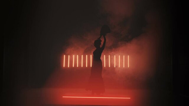 Flamenco Silhouette In Red Smoke