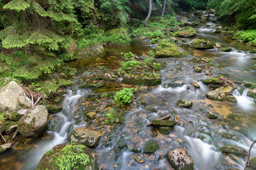 River flowing in the mountains. Watercourse flowing through a mountain area.