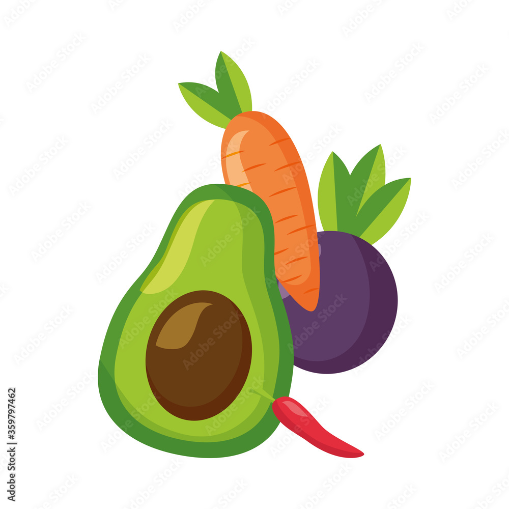 Poster avocado carrot chilli and beet vector design