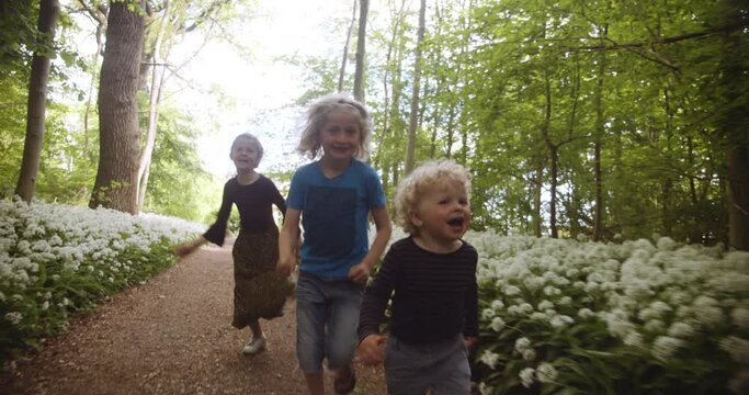 Three Siblings Having Fun and Running in Forest Pathway on a Beautiful morning