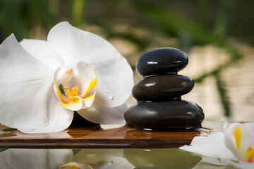 Fototapeta na wymiar Black zen stones and white orchids on a wooden plank on the surface of the water. SPA, relaxation, meditation concept
