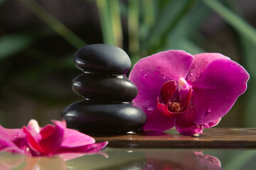 Obraz na płótnie Canvas Black zen stones and pink orchids on a wooden plank on the surface of the water. SPA, relaxation, meditation concept