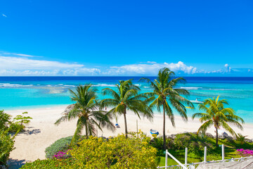 Fototapeta na wymiar Paradise beach. Sunny beach with palm and turquoise sea. Worthing beach in Barbados.