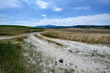 Fototapeta premium landscape in tuscany