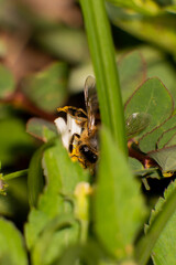 Urban Nature Photography South Florida Wildlife