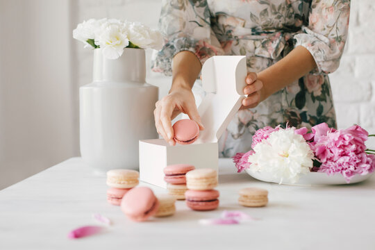 Hand made macarons on a modern light background