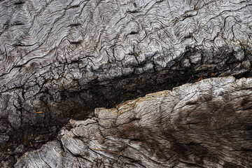 old wood texture