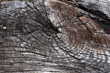 old wood texture