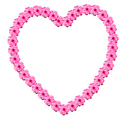 Beautiful heart created using pink cherry blossom flowers on a plain background