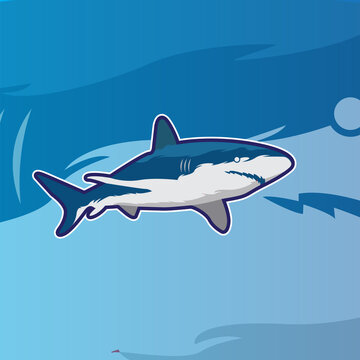 Shark sport mascot logo design template for badge, 
emblem, t-shirt
