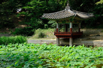 Seoul South Korea - Gyeongbokgung Palace with a Pavilion in garden area