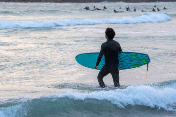 surfer carrying his surfboard at sunset, walking into the ocean for a surf