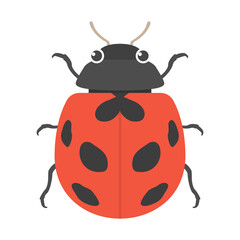 てんとう虫のイラスト