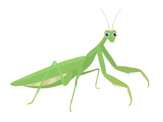 カマキリのイラスト