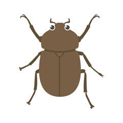 カブトムシのメスのイラスト