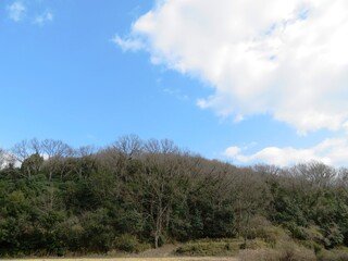 日本の田舎の風景　2月　早春の山の木々と青空