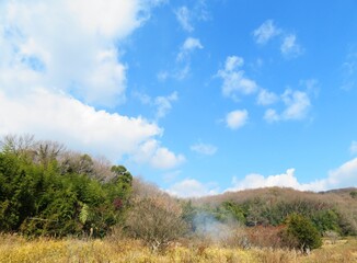 日本の田舎の風景　2月　早春の畑焼き　山の木々と青空