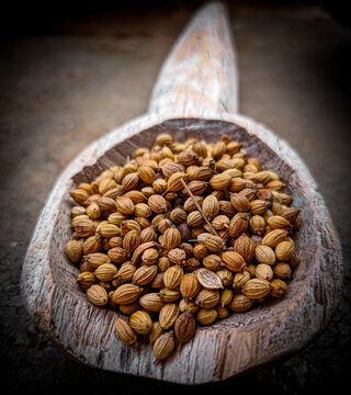 Coriender seeds in a wooden spoon