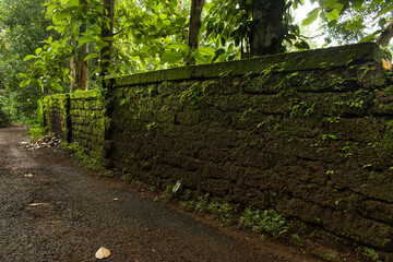 Old stone wall overgrown with moss.